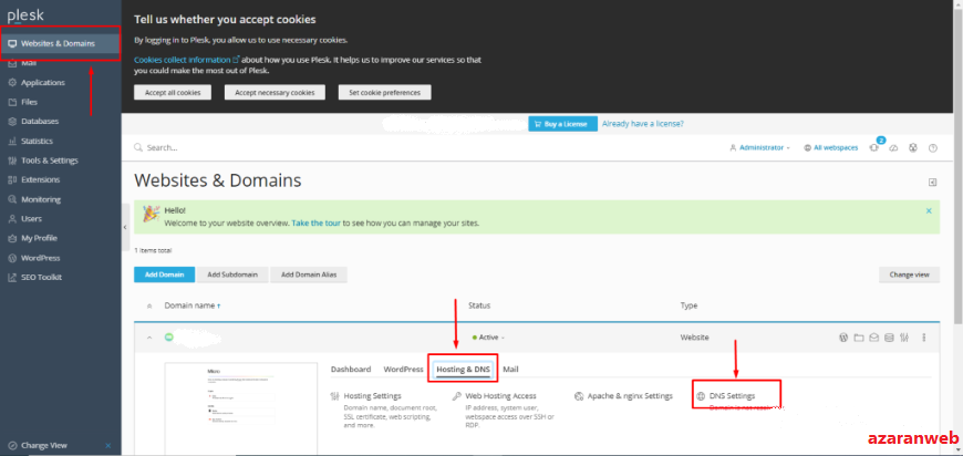 change domain name in plesk